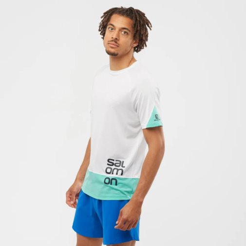 White / Turquoise Salomon Cross Run Graphic Short Sleeve Men's T-Shirts | PH 68591W